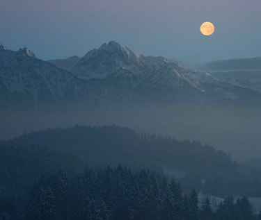 mobile_header_img